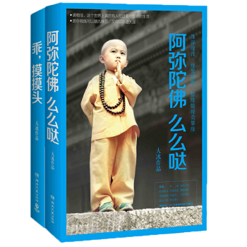 大冰新畅销作品 （套装共2册） 下载