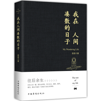 我在人间凑数的日子 下载