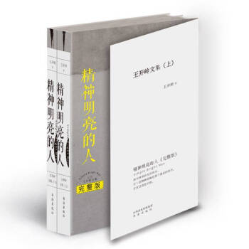 精神明亮的人：王开岭文集.完整版 下载