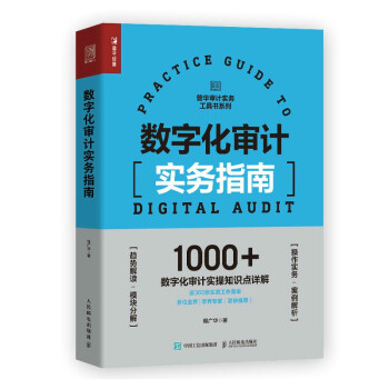 数字化审计实务指南 下载
