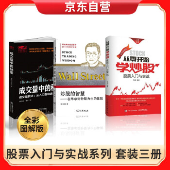 从零开始学炒股 股票入门与实战（全彩图解版）+成交量中的秘密+炒股的智慧股票 金融与投资 下载