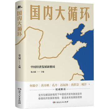 国内大循环（全景式解读大循环的开创之作！更加贴近决策层的视角讲透新发展格局下的战略与机遇！） 下载