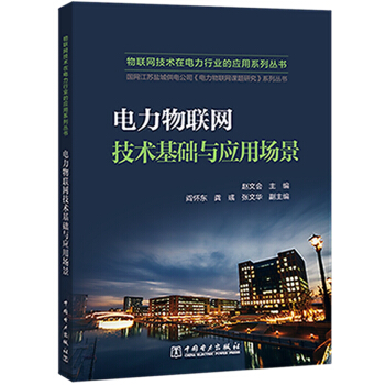 物联网技术在电力行业的应用系列丛书 电力物联网技术基础与应用场景 下载