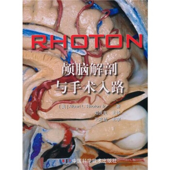 颅脑解剖与手术入路 下载