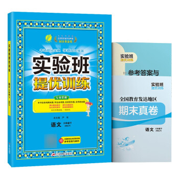 实验班提优训练 小学语文六年级下册人教版（RMJY）课时同步强化练习2022年春 含答案期末真卷 下载