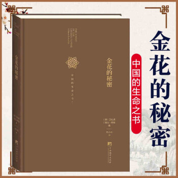 金花的秘密 下载