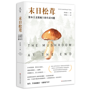 末日松茸：资本主义废墟上的生活可能（薄荷实验） 下载