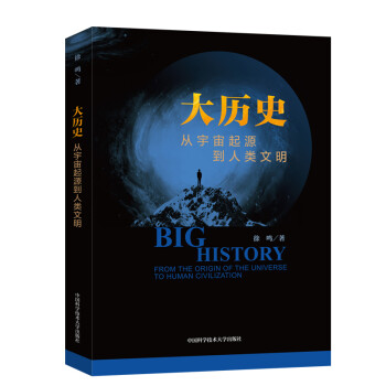 大历史：从宇宙起源到人类文明 下载