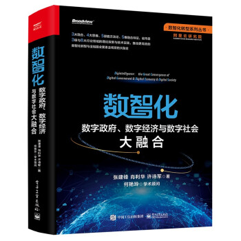 数智化：数字政府、数字经济与数字社会大融合(博文视点出品) 下载