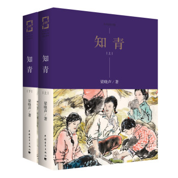 知青（套装上下册） 下载