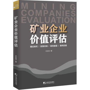 矿业企业价值评估 下载
