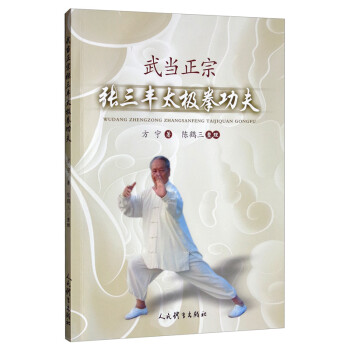 武当正宗张三丰太极拳功夫 下载