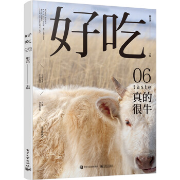 好吃06 下载
