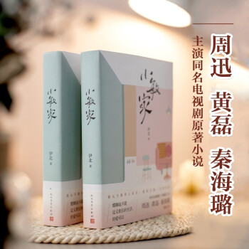 小敏家 周迅 黄磊 秦海璐 领衔主演原著小说 下载