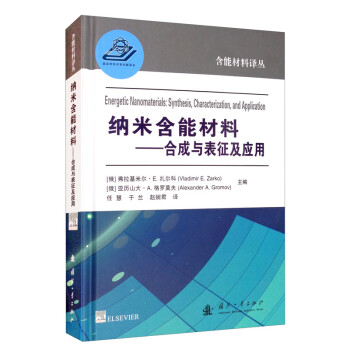 纳米含能材料：合成与表征及应用 [Energetic Nanomaterials： Synthesis, Characterization, and Application] 下载