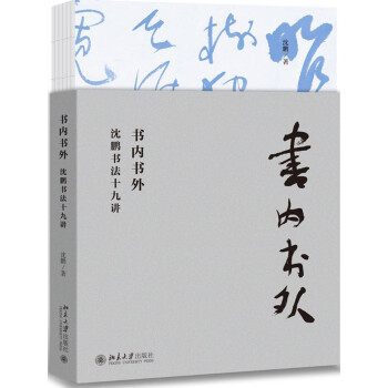 书内书外：沈鹏书法十九讲 下载