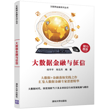 大数据金融与征信/互联网金融系列丛书 下载