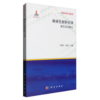 纳米孔材料化学：催化及功能化 下载