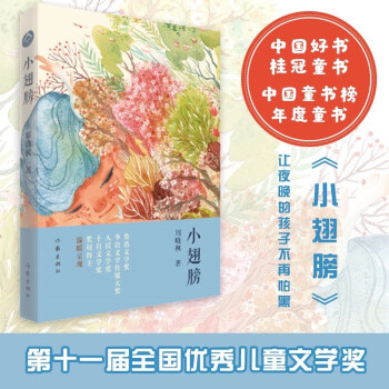 2018中国好书：小翅膀 下载