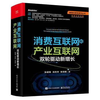 消费互联网和产业互联网：双轮驱动新增长(博文视点出品) 下载