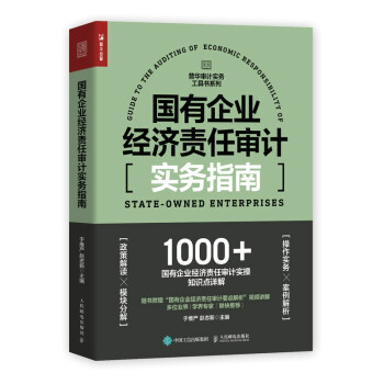 国有企业经济责任审计实务指南 下载