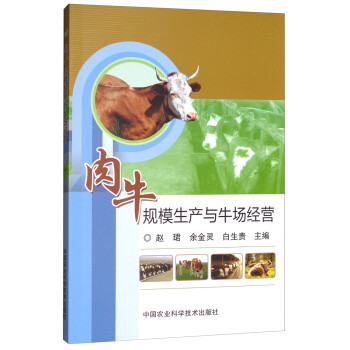 肉牛规模生产与牛场经营 下载