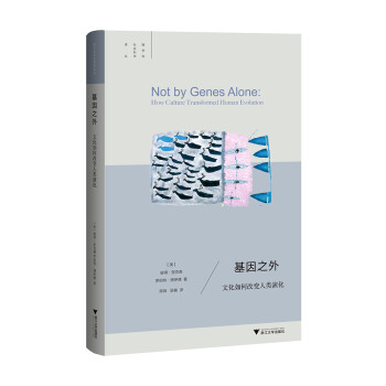 基因之外：文化如何改变人类演化/跨学科社会科学译丛 下载