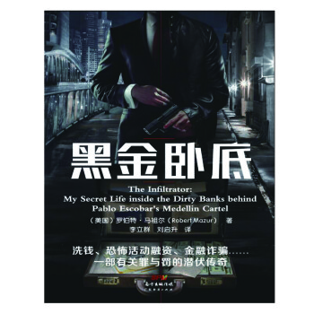 黑金卧底：走进银行洗钱案的幕后 下载