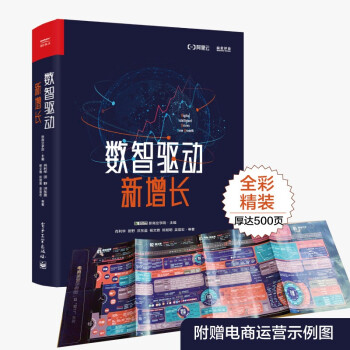 【肖利华领衔撰写】数智驱动新增长（精装版 全彩）(博文视点出品) 下载