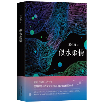 王小波：似水柔情 下载