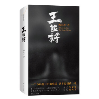 王能好 精装版 魏思孝“乡村三部曲”终结之作 下载