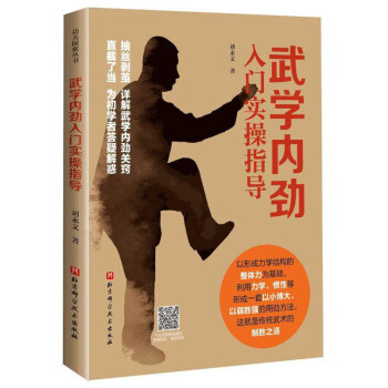 武学内劲入门实操指导 下载