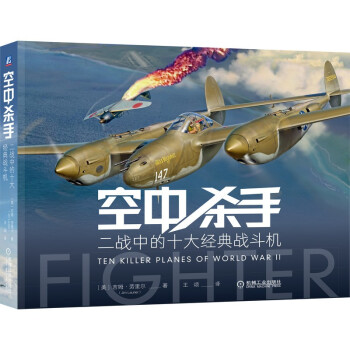 空中杀手：二战中的十大经典战斗机 军事插图画家倾心力作 下载