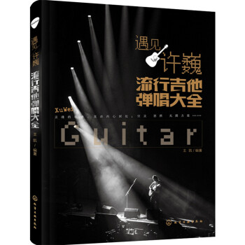 遇见许巍：流行吉他弹唱大全 下载