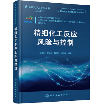 危险化学品安全丛书--精细化工反应风险与控制 下载
