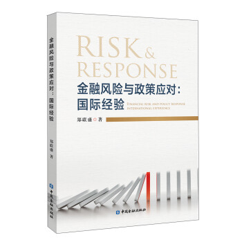 金融风险与政策应对：国际经验 下载
