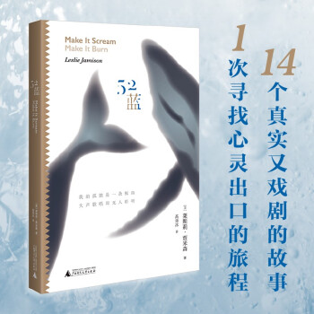 52蓝（14个直击灵魂的真实故事：关于孤独、渴求、沉迷，关于现代心灵的应急出口） 下载
