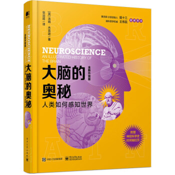 大脑的奥秘：人类如何感知世界（全新升级版） 下载