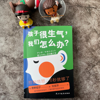 很生气，怎么办？（6-12岁儿童心理健康书 让孩子学会正确表达愤怒的方法） 下载