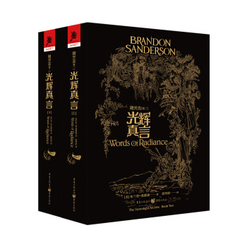 飓光志卷二：光辉真言（《纽约时报》畅销书作家，《时光之轮》续写者，耗费十年光阴的长篇巨作震撼登场！） 下载