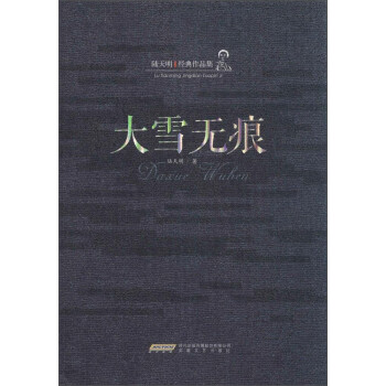 陆天明经典作品集：大雪无痕 下载