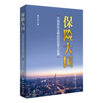 保险大国（平装） 下载