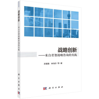 战略创新：来自君智战略咨询的实践 下载