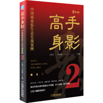 高手身影2：中国商业原生态实战案例 下载