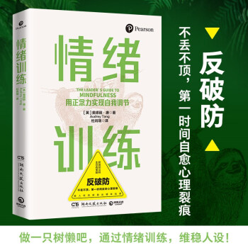 情绪训练（用正念力实现自我调节） 下载