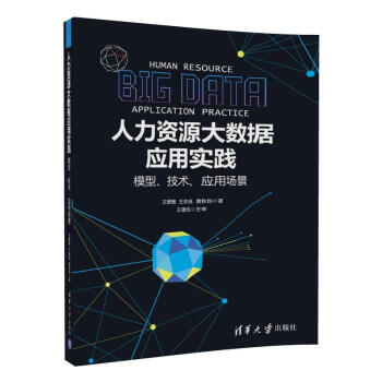 人力资源大数据应用实践：模型、技术、应用场景 下载