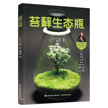 苔藓生态瓶 下载