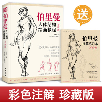 珍藏版《伯里曼》人体结构教学人物速写入门基础绘画临摹书籍透视技法自学教程头像美术艺术手绘教材全套正版 下载