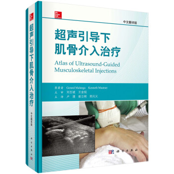 超声引导下肌骨介入治疗 下载