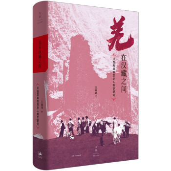 羌在汉藏之间：川西羌族的历史人类学研究（《华夏边缘》作者王明珂经典力作，川西羌族全解） 下载